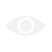 Show password icon